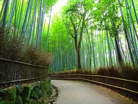 京都の夏は涼しい場所で観光したい!デートにもおすすめ避暑地スポット